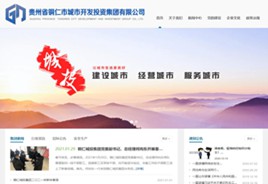 阳新城市开发投资集团有限公司