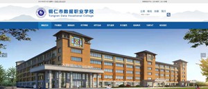 阳新数据职业学校