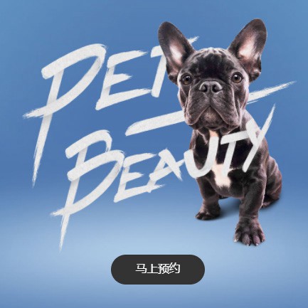 阳新宠物中心小程序开发