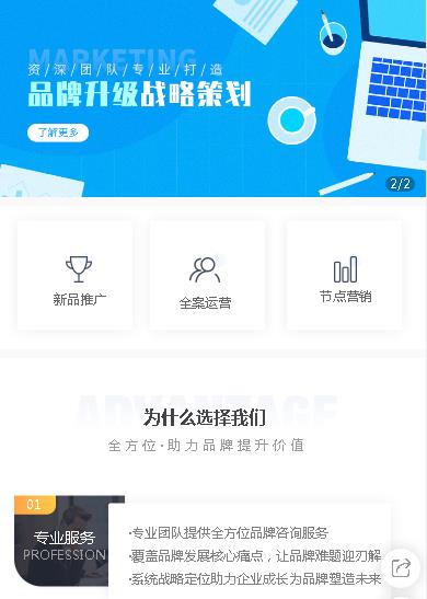 阳新咨询策划小程序开发