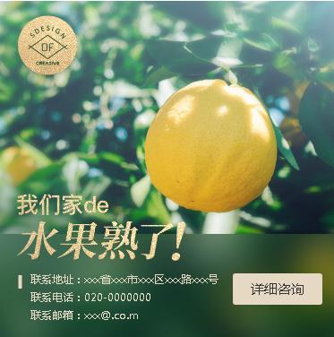 阳新果园果林小程序开发